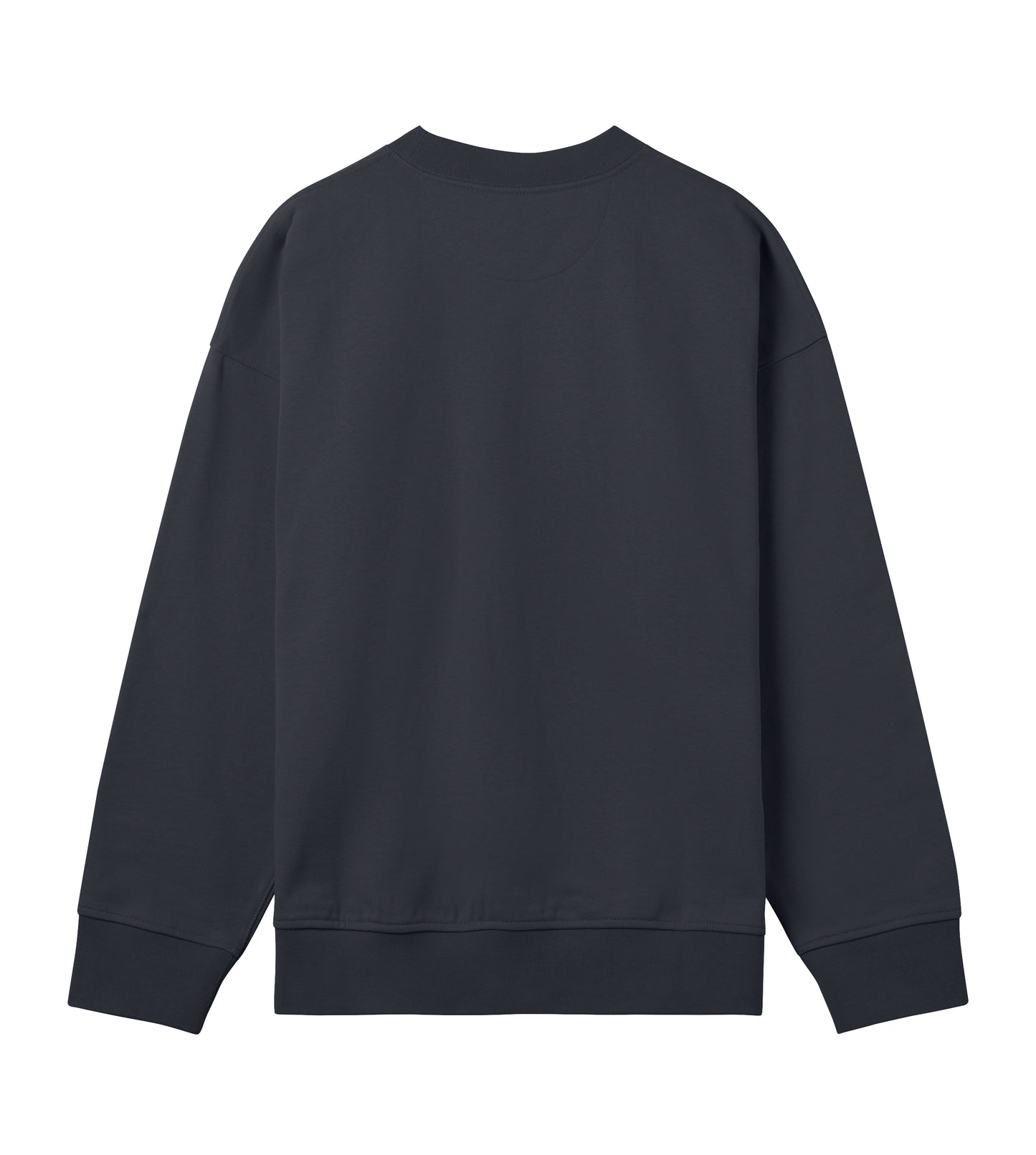 Posh Classic Oversize Sweatshirt